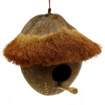 Kokos jako budka, ptačí budka k zavěšení, kokosová dekorace Ø16cm L46cm