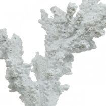Námořní dekorace korálově bílá umělá dekorace stojan 11×12cm