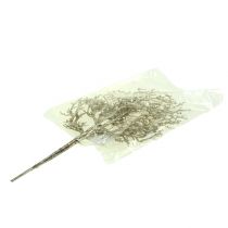 položky Korálová větev se slídou světle zlatá 3ks