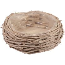 Proutěný koš košík na rostliny praný bílý Ø25cm H11cm