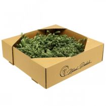 položky Vánoční věnec dekorace zelený věnec ze sušených květin dveřní věnec len bylina slavnostní Ø34cm