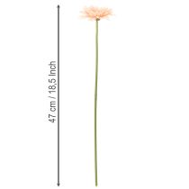 položky Umělé květiny gerbery meruňkové 47cm 6 ks