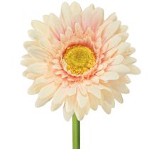 položky Umělé květiny Gerbera Meruňka 47cm