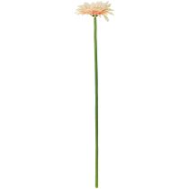 položky Umělé květiny Gerbera Meruňka 47cm