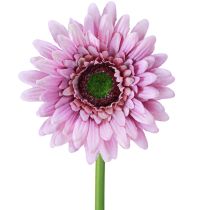 položky Umělé květiny Gerbera Garden Umělé květiny Fialová 47cm