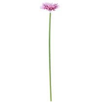 položky Umělé květiny Gerbera Garden Umělé květiny Fialová 47cm