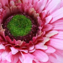 položky Umělé květiny Gerbera Garden Umělé květiny růžové 47cm