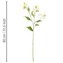 položky Umělý květ Gloriosa, bílý a žlutý, elegantní kvetoucí větvička k dekoraci, 80 cm, 3 kusy