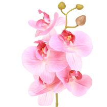 položky Umělé orchideje Růžové umělé květiny jako skutečné 56cm 3 ks