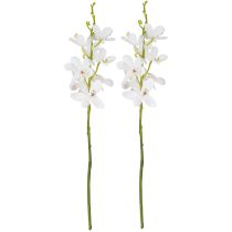 položky Umělé květy orchidejí bílých rozměrů Ø3,5–5 cm, délka 38 cm, 2 ks