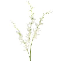 položky Umělá orchidej větev krémové bílé květy L90cm 2ks
