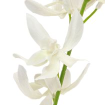 položky Umělá orchidej větev krémové bílé květy L90cm 2ks
