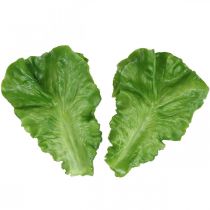 Deco salát Umělé listy salátu replika hlávkového salátu 16×11cm