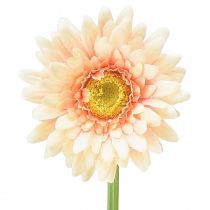 Umělé květiny Gerbera Meruňka 47cm