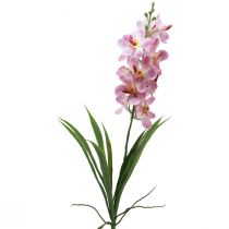 Umělá orchidej Růžová Bílá Umělá květina Orchidej 73cm