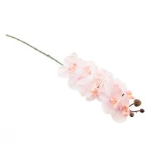 položky Umělá orchidej růžová Phalaenopsis Real Touch 58cm