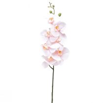 položky Umělá orchidej růžová Phalaenopsis Real Touch 83cm