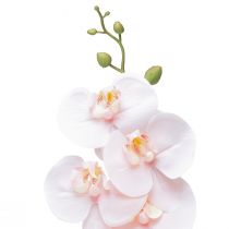 položky Umělá orchidej růžová Phalaenopsis Real Touch 83cm