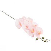 položky Umělá orchidej růžová Phalaenopsis Real Touch 83cm