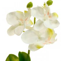 Umělé orchideje Umělý květ orchidej bílá 20cm