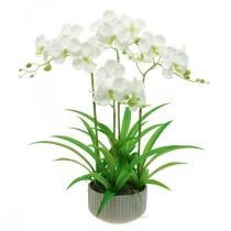 položky Umělé orchideje umělé květiny v bílém květináči 60cm