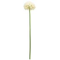 položky Umělá Allium krémová bílá okrasná cibule Ø18cm L90cm