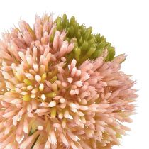 položky Umělá allium okrasná cibule růžová zelená Ø10cm L65cm