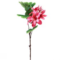 Umělá větev orchideje Bauhinia Pink umělá rostlina 62cm
