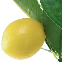 položky Umělý citroník v květináči Mediterranean H58cm