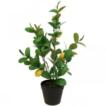 položky Umělý citroník v květináči Lemon tree H65cm