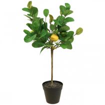 Umělý citroník v květináči Lemon tree H57cm