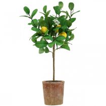 položky Umělý citroník v květináči Lemon tree 58cm