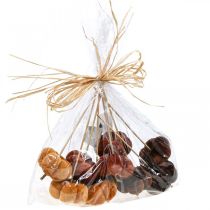 položky Deco dýňová dekorace zátka oranžová, hnědá měkká Ø6,5m 9 ks