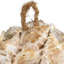 položky Dekorativní koule s mušlemi šneků, dekorace s mušlemi, závěsná přírodní Ø12cm