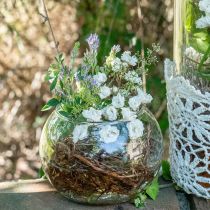 Kulová váza skleněná váza na květiny kulatá skleněná dekorace V10cm Ø11cm