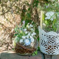 Kulová váza skleněná váza na květiny kulatá skleněná dekorace V11cm Ø15cm