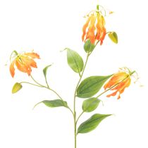 položky Umělý květ Gloriosa oranžová s dlouhými stonky do vázy 80 cm 3 ks
