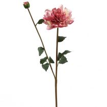 Umělá květina jiřina růžový květ s poupatem V57cm