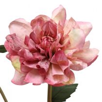 Umělá květina jiřina růžový květ s poupatem V57cm