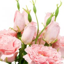 Umělé květiny Lisianthus růžové umělé hedvábné květiny 50cm 5ks