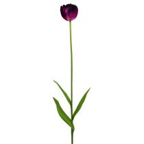 Umělé květiny tulipány fialovo-zelené 84cm - 85cm 3ks