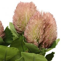 Umělé květiny, Banksia, Proteaceae bílo-fialové L58cm H6cm