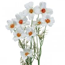 položky Umělé květiny Cosmea bílé hedvábné květiny H51cm 3 ks