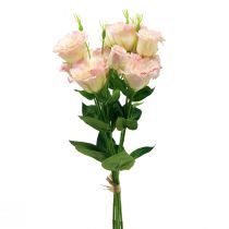 položky Umělé květiny Eustoma Lisianthus růžová krémová 52cm 5 ks
