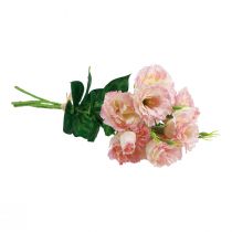 položky Umělé květiny Eustoma Lisianthus růžová krémová 52cm 5 ks
