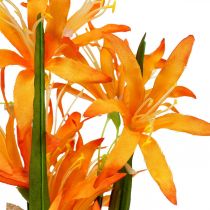 Umělé květiny Nerine Orange Guernsey Lilie Podzimní květiny 48cm