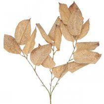 Umělá rostlina podzimní dekorace větev listy vyprané bílé L70cm