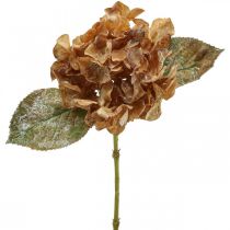 Umělá hortenzie vyschlá Drylook podzimní dekorace L33cm
