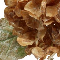 Umělá hortenzie vyschlá Drylook podzimní dekorace L33cm