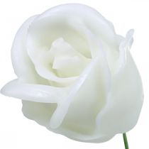 položky Umělé růže bílé voskové růže dekorační růže vosk Ø6cm 18ks
